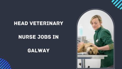 Head Veterinary Nurse Jobs in Galway