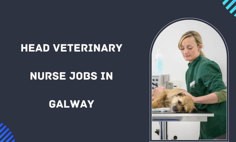 Head Veterinary Nurse Jobs in Galway